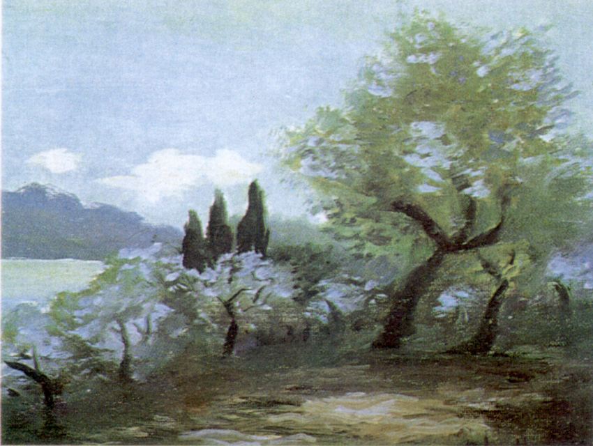 bottarelli_adriano_cuadrnou11.jpg (263573 bytes)