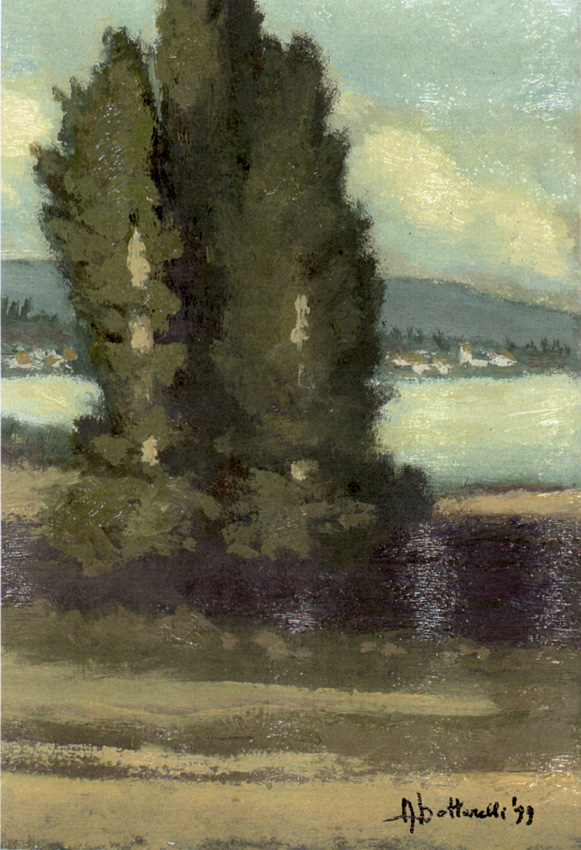 bottarelli_adriano_cuadrnou4.jpg (231464 bytes)