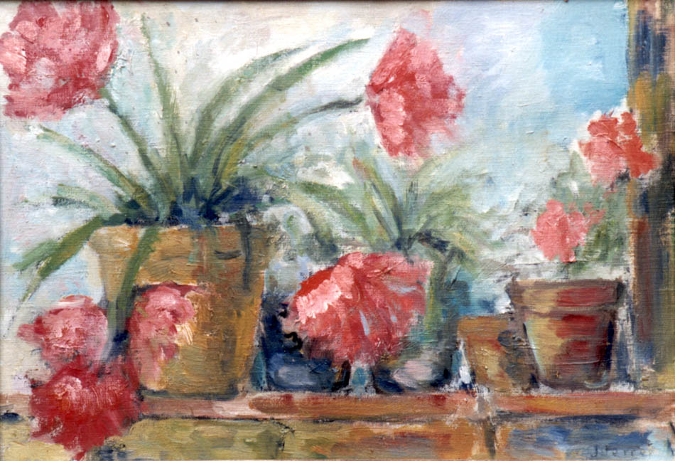 flores.jpg (134126 bytes)