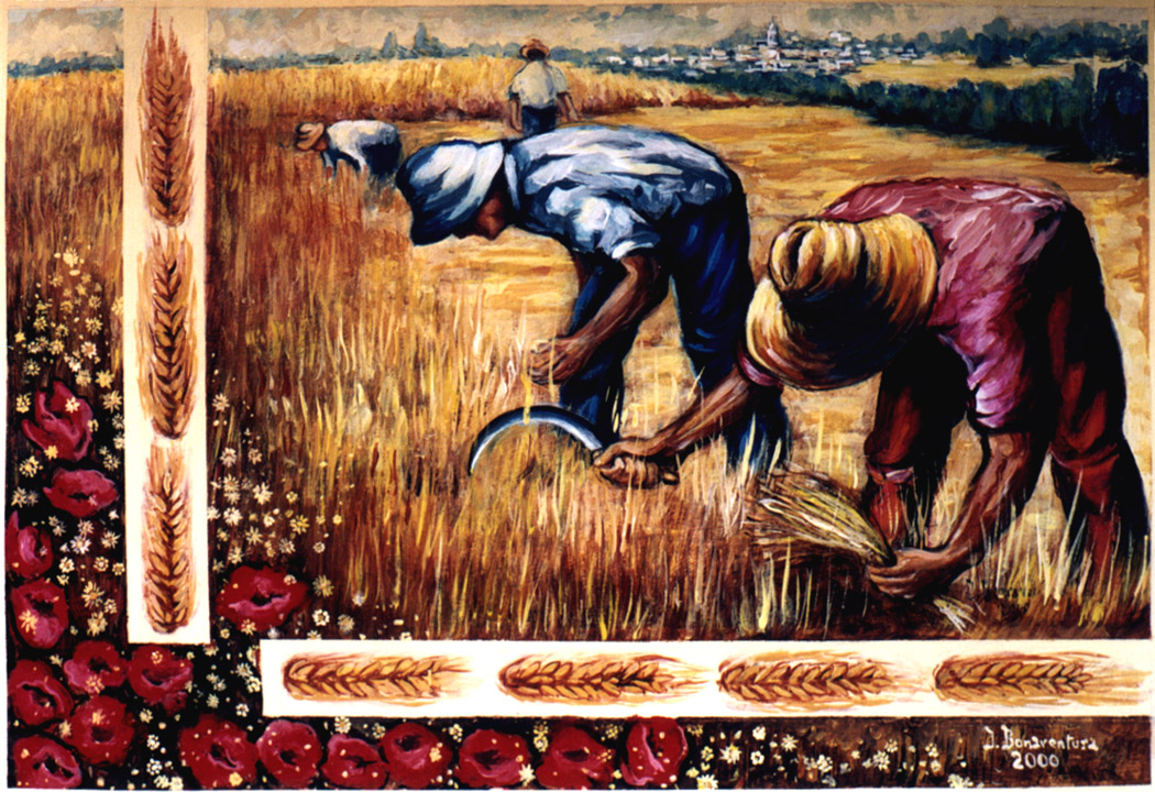 imag2.jpg (344793 bytes)