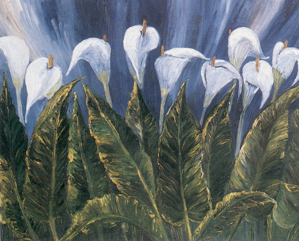 cuadro4.jpg (482296 bytes)