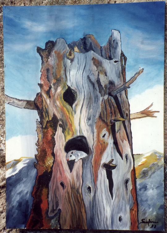 sciplini_aurelio_cuadrnous7.jpg (115191 bytes)